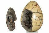 Bargain, Polished Dragon Egg Puzzle Geode - Black Crystals #191441-3